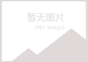 安阳字迹能源有限公司